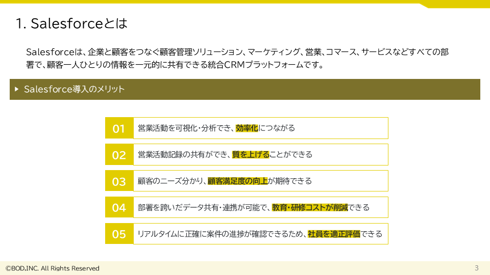 Salesforce導入・運用支援サービス_02